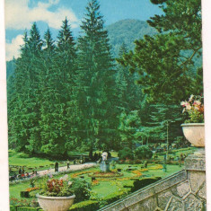 carte postala(ilustrata)-SLANIC MOLDOVA -Vedere din parc
