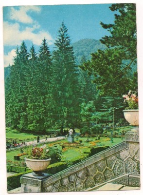 carte postala(ilustrata)-SLANIC MOLDOVA -Vedere din parc foto