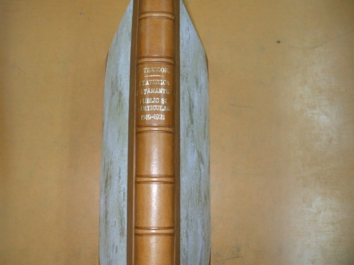 Theodoru Statistica invatamantului public si particular din Romania 1919-21 027