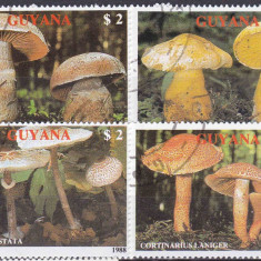 Ciuperci-Guyana serie ştampilată