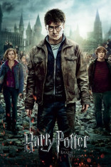 HARRY POTTER - MAXI POSTER (61x91,5cm) foto