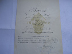 Brevet RPR 1962 Medalia &amp;quot;In cinstea incheierii colectivizarii agriculturii&amp;quot; (Dinicu Gheorghe Maria) foto