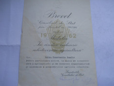 Brevet RPR 1962 Medalia &amp;quot;In cinstea incheierii colectivizarii agriculturii&amp;quot; (Datcu Constantin Zanfir) foto