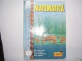 Matematica - manual pentru clasa a VIII-a,GINA CABA,R21, Clasa 8, Teora