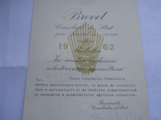 Brevet RPR 1962 Medalia &amp;quot;In cinstea incheierii colectivizarii agriculturii&amp;quot; (Petcu Constantin Paraschiva) foto