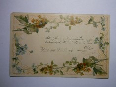 Ungaria-Chenar de flori foto