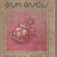 (C2652) DRUM DESCHIS DE ARTHUR SCHNITZLER, EDITURA FACLA, TIMISOARA, 1986
