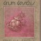 (C2652) DRUM DESCHIS DE ARTHUR SCHNITZLER, EDITURA FACLA, TIMISOARA, 1986