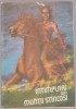 Intamplari din Muntii Stancosi (Carte de colorat)