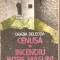 (C2651) CENUSA * INCENDIU INTRE MASLINI DE GRAZIA DELEDDA, EDITURA DACIA, CLUJ - NAPOCA, 1987