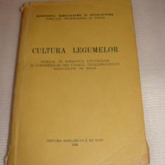 CULTURA LEGUMELOR