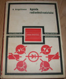 N. Dragulanescu - Agenda radioelectronistului