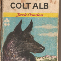 (C2719) COLT ALB DE JACK LONDON, EDITURA ION CREANGA, BUCURESTI, 1970, TRADUCERE DE MIRCEA ALEXANDRESCU