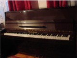 PIanina Ceaikovski, Clasica