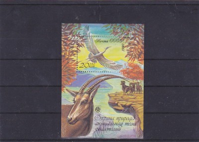 Fauna pasari ,cervide ,URSS. foto
