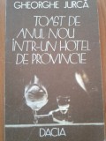 Toast de anul nou intr-un hotel de provincie - Gheorghe Jurca