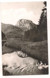 carte postala(ilustrata)-LACUL ROSU-vedere spre Suthard