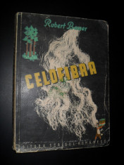 Robert Bauer - Celofibra foto