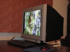 Monitor CRT 22&amp;quot; - Hp p1230 foto