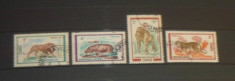 Animale salbatice 1971 - CONGO - 4 valori - 2+1 gratis toate licitatiile - RBK1630 foto