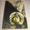 CRIME ET CHATIMENT - Dostoievsky