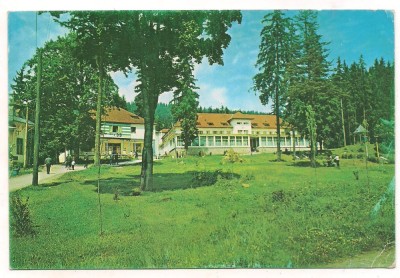 carte postala(ilustrata)-BORSEC foto