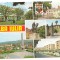 carte postala(ilustrata)-ALBA IULIA-colaj