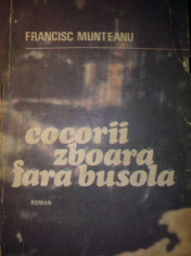Francisc Munteanu - Cocorii zboara fara busola foto