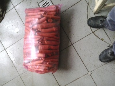 vand morcovii foto