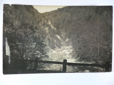 PASUL SURDUC - FOTO JOANOVITS PETROSENI foto