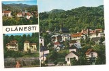 carte postala(ilustrata)-OLANESTI