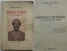 Eminescu in Banat la Sannicolaul Mare (Periam,Timis) cu ilustratii de epoca,editie 1928 foto