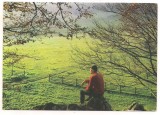 carte postala(ilustrata)-SINAIA-Poiana Stinii