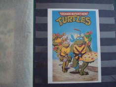 Teenage Mutant Ninja Turtles/Abtibilduri/Testoasele Ninja foto