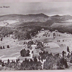 Carte postala POIANA BRASOV, alb-negru, RPR, necirculata, anii`50,