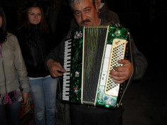 acordeon altair cu 96 basi foto