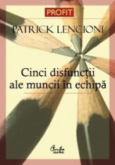 CINCI DISFUNCTII ALE MUNCII IN ECHIPA de PATRICK LENCIONI foto