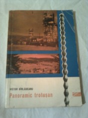 PANORAMIC TROTUSAN (sau peripetiile unui riu moldovenesc) ~ VICTOR BIRLADEANU foto