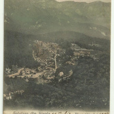 Sinaia : Piscu Cainelui - U.P.U.,circulata 1904,timbru