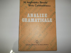 ANALIZE GRAMATICALE foto