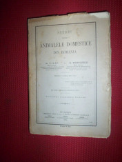 Studiu despre animalele domestice din Romania/an 1912-N.Filip/G.Manolescu foto