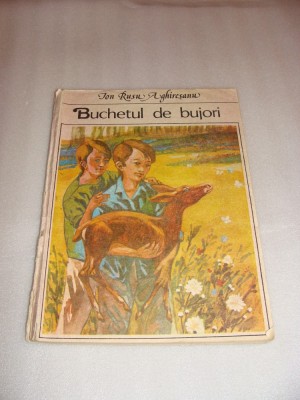 Buchetul de bujori - Ion Rusu Aghiresanu foto