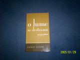 O LUME SE DESTRAMA -CHINUA ACHEBE