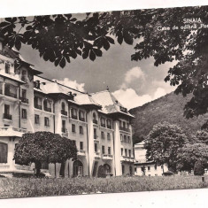 carte postala(ilustrata)-SINAIA-Casa de odihna Postavarul