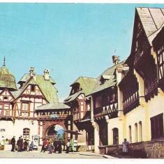 carte postala(ilustrata)-SINAIA-Vila Dunarea