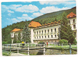 Carte postala(ilustrata)-SIanic Moldova -Vila Racovita, Circulata, Printata