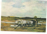 Carte postala(ilustrata)-GRIGORESCU-car cu boi, Necirculata, Printata