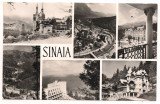 Carte postala(ilustrata)-SINAIA-colaj, Circulata, Fotografie