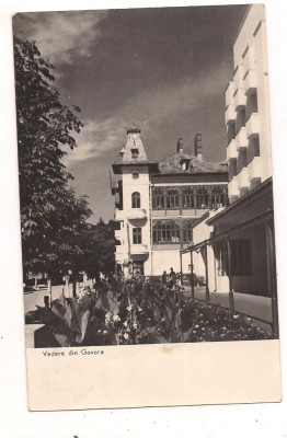 carte postala(ilustrata)-GOVORA-vedere foto