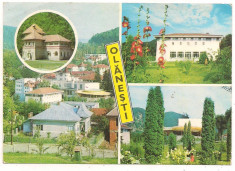 carte postala- OLANESTI-colaj### foto